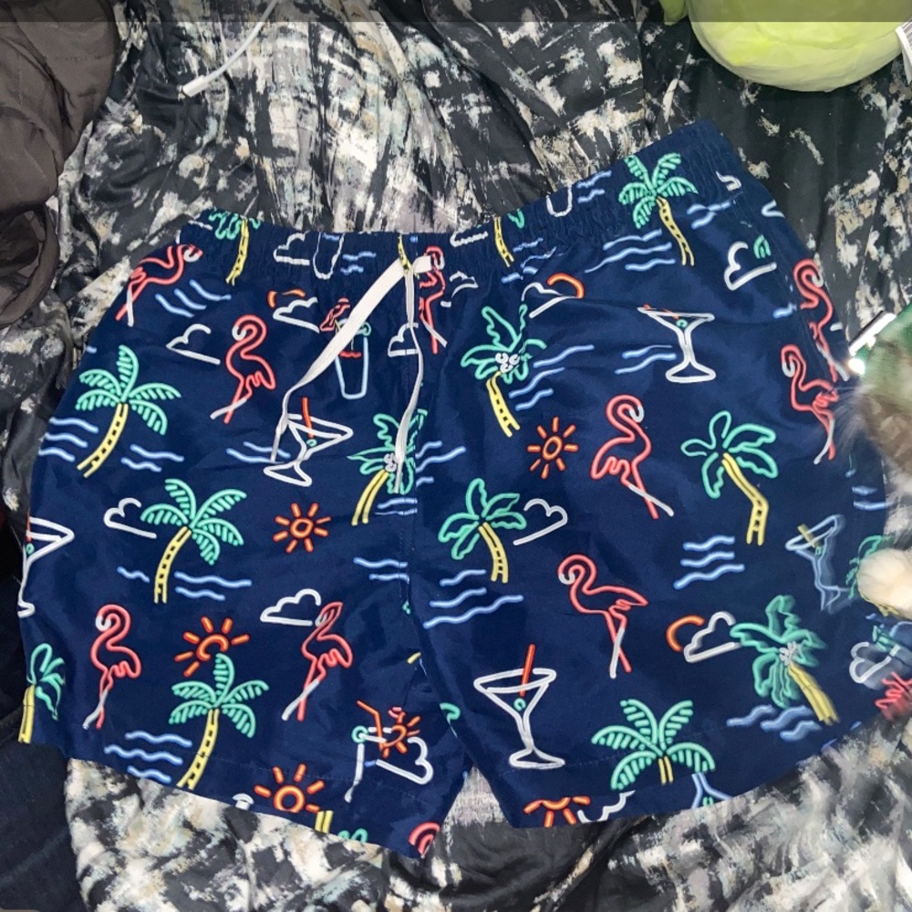 Men’s Chubbies Swim Trunks